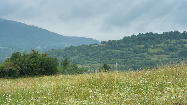 krásná krajina